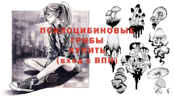 метамфетамин Покачи